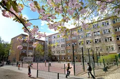 Berlin Metropolitan School campus photograph