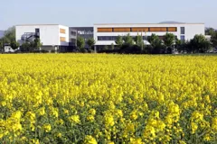 View of ISF Frankfurt campus (uploaded 2006)